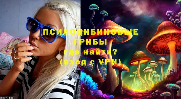 a pvp Михайлов
