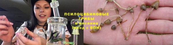 дживик Михайловка